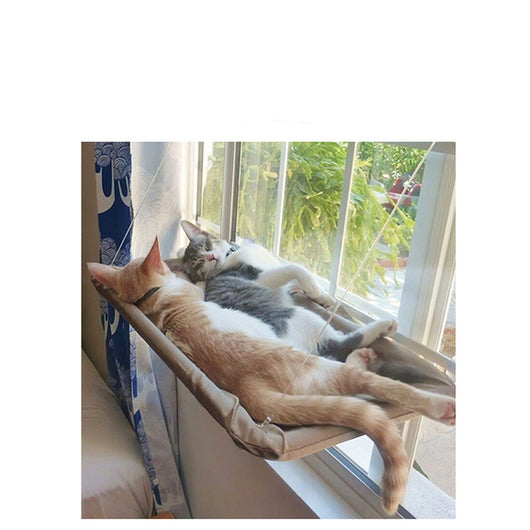 Hamaca Colgante para Gatos con Ventosa - Reposa Felino - Image 18