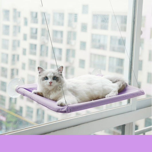 Hamaca Colgante para Gatos con Ventosa - Reposa Felino - Image 19