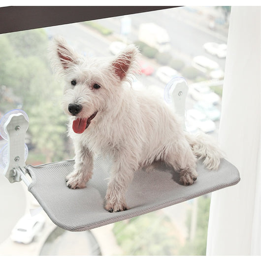 Hamaca Colgante para Gatos con Ventosas - Nido Extraíble y Lavable - Image 15