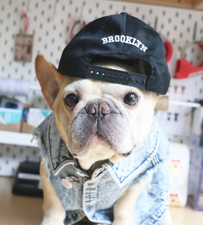 Chaqueta de Mezclilla Lavada para Perros - Ropa Cómoda y Elegante - Image 21