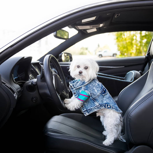 Chaqueta de Mezclilla Lavada para Perros - Ropa Cómoda y Elegante - Image 23