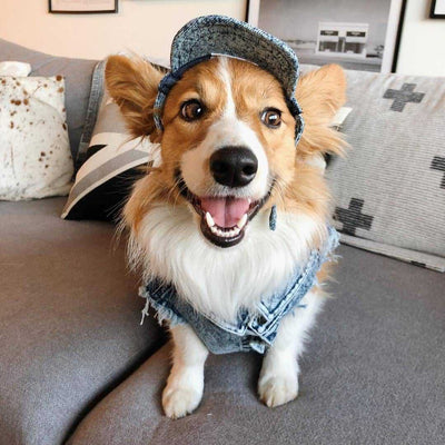 Chaqueta de Mezclilla Lavada para Perros - Ropa Cómoda y Elegante - Image 26