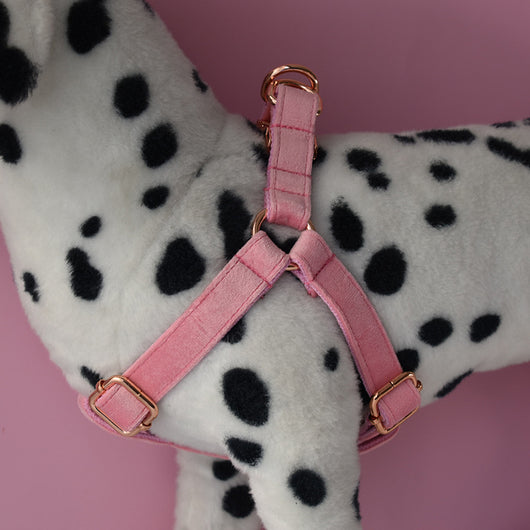 Arnés para Perro de Franela Modelo Premium - Image 27