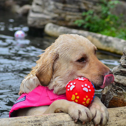 Chaleco Salvavidas para Perros - Diseño Tiburón Ajustable para Mascotas Pequeñas y Grandes - Image 17