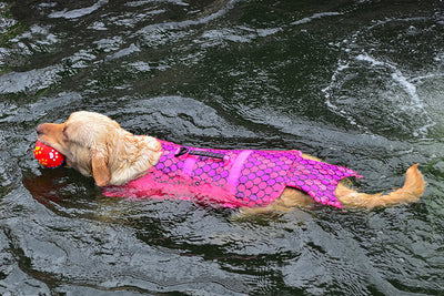 Chaleco Salvavidas para Perros - Diseño Tiburón Ajustable para Mascotas Pequeñas y Grandes - Image 18