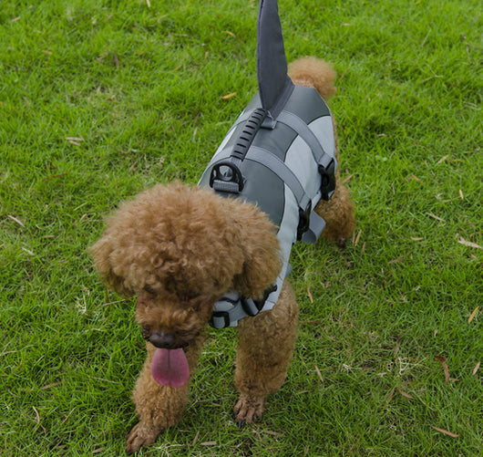 Chaleco Salvavidas para Perros - Diseño Tiburón Ajustable para Mascotas Pequeñas y Grandes - Image 27