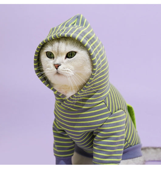 Suéter Térmico para Gatos con Cuello Alto - Image 17