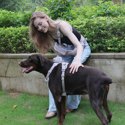 Arnés Gentleman Gris Pizarra en Pana - Collar y Pechera Premium para Mascotas - Image 33