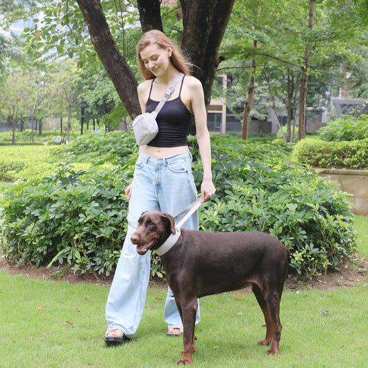 Arnés Gentleman Gris Pizarra en Pana - Collar y Pechera Premium para Mascotas - Image 35