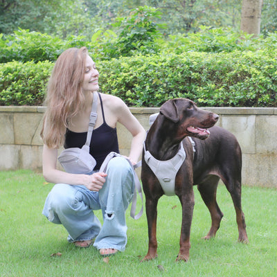 Arnés Gentleman Gris Pizarra en Pana - Collar y Pechera Premium para Mascotas - Image 38