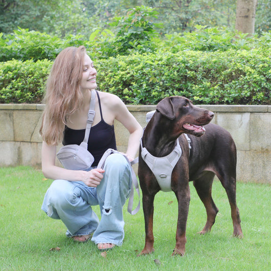 Arnés Gentleman Gris Pizarra en Pana - Collar y Pechera Premium para Mascotas - Image 38