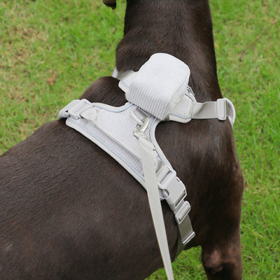 Arnés Gentleman Gris Pizarra en Pana - Collar y Pechera Premium para Mascotas - Image 45