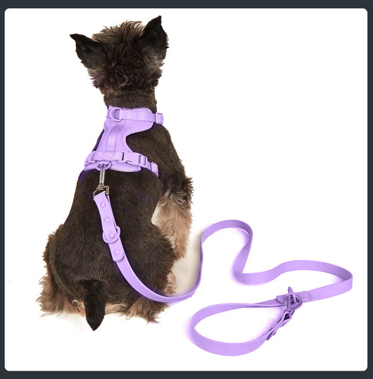 Arnés Táctico Protector para Perros - Resistente al Agua y Mordidas - Image 7