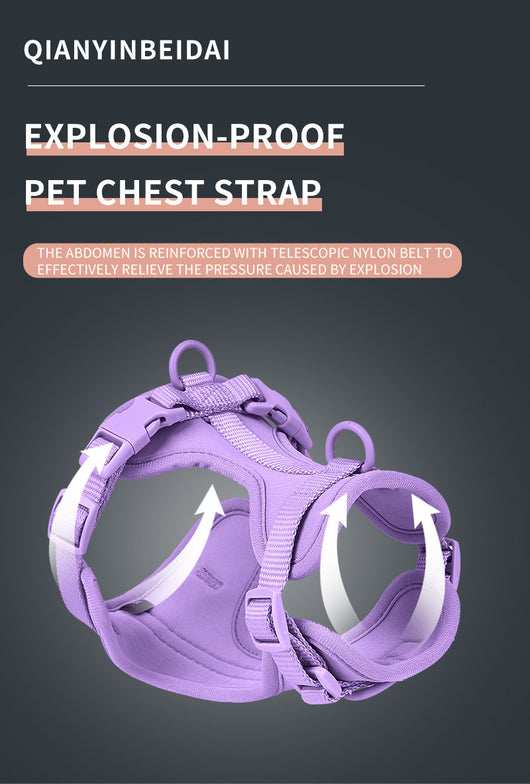 Arnés Táctico Anti-mordida para Perros con Protección Dorsal - Image 49