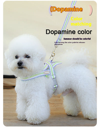 Arnés Portátil para Perro con Cuerda de Mano - Image 10