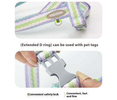 Arnés Portátil para Perro con Cuerda de Mano - Image 14
