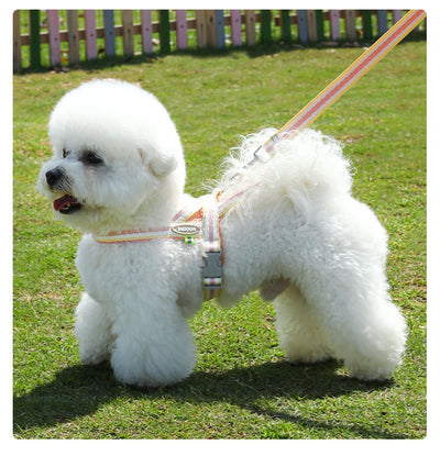 Arnés Portátil para Perro con Cuerda de Mano - Image 16