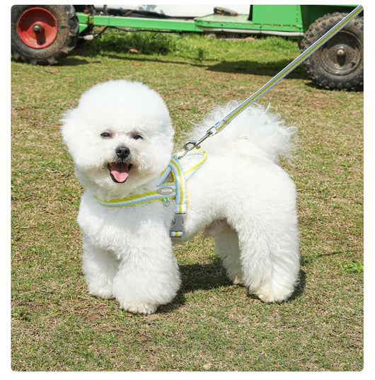Arnés Portátil para Perro con Cuerda de Mano - Image 17