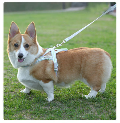 Arnés Portátil para Perro con Cuerda de Mano - Image 18