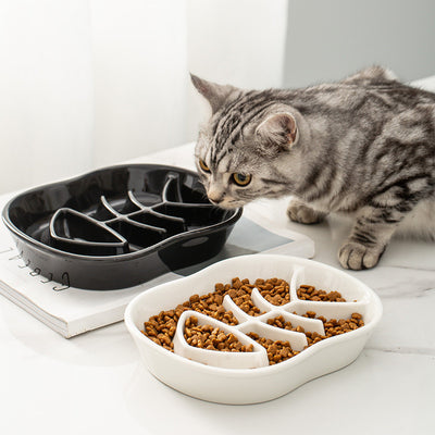 Comedero Cerámico de Alimentación Lenta para Gatos - Image 7