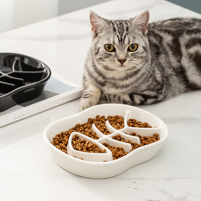 Comedero Cerámico de Alimentación Lenta para Gatos - Image 8