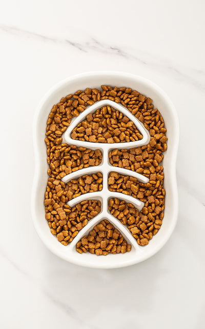 Comedero Cerámico de Alimentación Lenta para Gatos - Image 12
