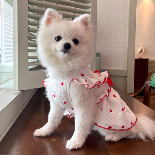 Vestido Floral de Algodón Pet Love - Image 50