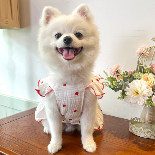 Vestido Floral de Algodón Pet Love - Image 61