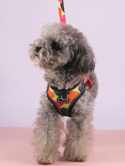 Arnés de Tracción Pectoral para Perros - Image 24