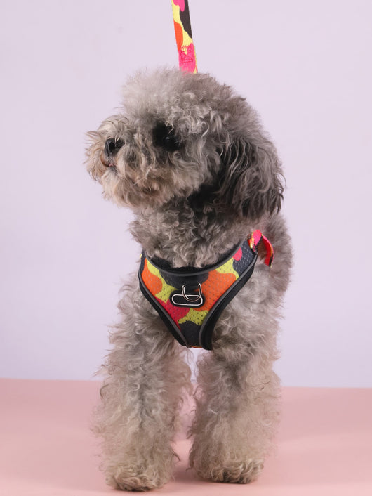 Arnés de Tracción Pectoral para Perros - Image 24