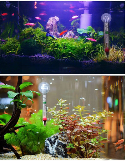Termómetro Flotante para Acuario - Image 13