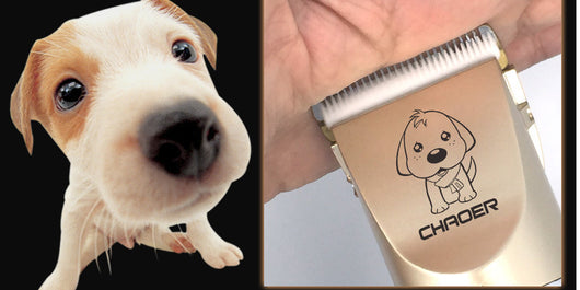 Cortadora Profesional de Pelaje Canino y Felino con Cortaúñas Eléctricos - Image 14