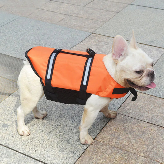 Chaleco Salvavidas Reflectante para Mascotas con Traje de Entrenamiento - Image 9