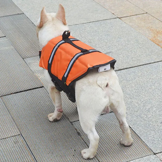 Chaleco Salvavidas Reflectante para Mascotas con Traje de Entrenamiento - Image 10