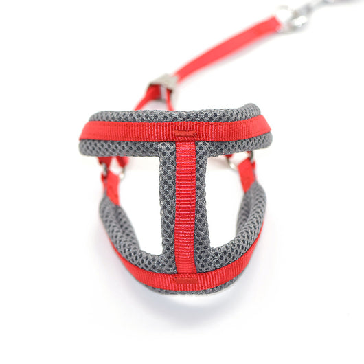 Arnés de Pecho para Perro con Cuerda y Clip Nylon - Image 19