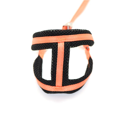 Arnés de Pecho para Perro con Cuerda y Clip Nylon - Image 20