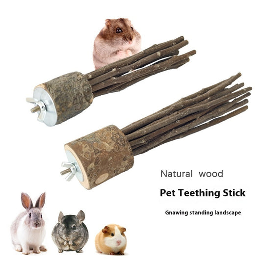 Medium natural applewood log molar rod toy with multiple branches and a metal wing nut for small pets. - Image 16