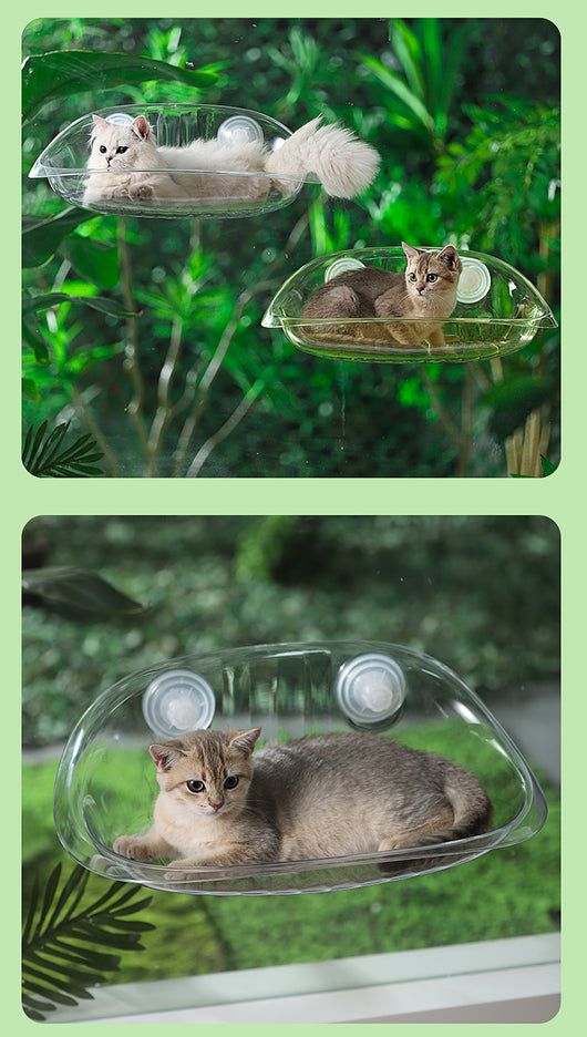 Hamaca Colgante para Gatos con Ventosa - Cama Elevada para Ventana y Balcón - Image 15