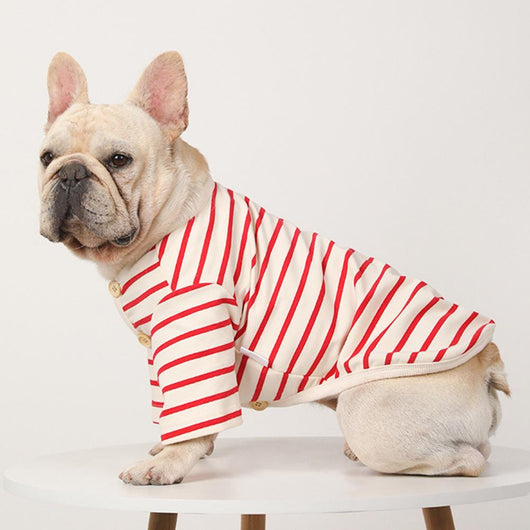 Suéter a Rayas para Perros - Cuello V en Algodón Cálido - Image 17