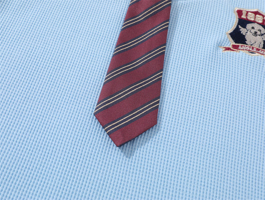 Camisa Polo College con Insignia para Hombre - Image 28