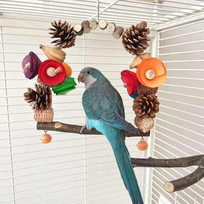 Natural wood parrot swing with pine cones, colorful wooden pieces, and small bells for chewing and perching. - Image 19