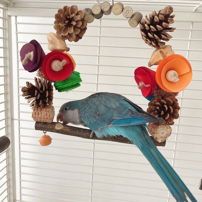 Natural wood parrot swing with pine cones, colorful wooden pieces, and small bells for chewing and perching. - Image 20