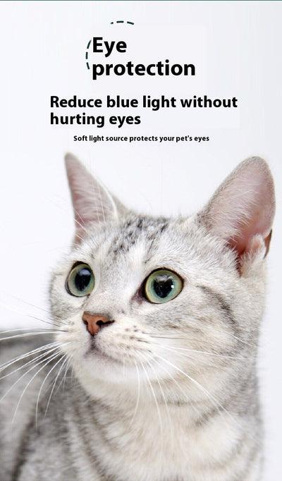 Linterna Interactiva con Proyección para Gatos - Image 14