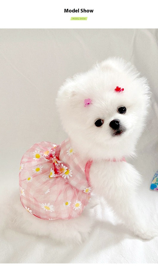 Chaleco de Malla Estampado Gatos y Perros Margaritas - Image 14