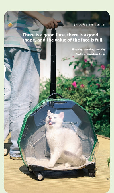 Carrito Transportín para Mascotas - Maleta Cápsula Espacial Transparente Grande - Image 12