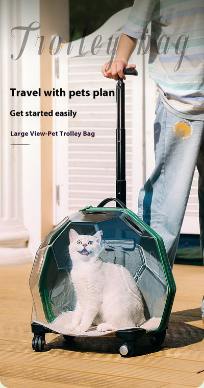 Carrito Transportín para Mascotas - Maleta Cápsula Espacial Transparente Grande - Image 16