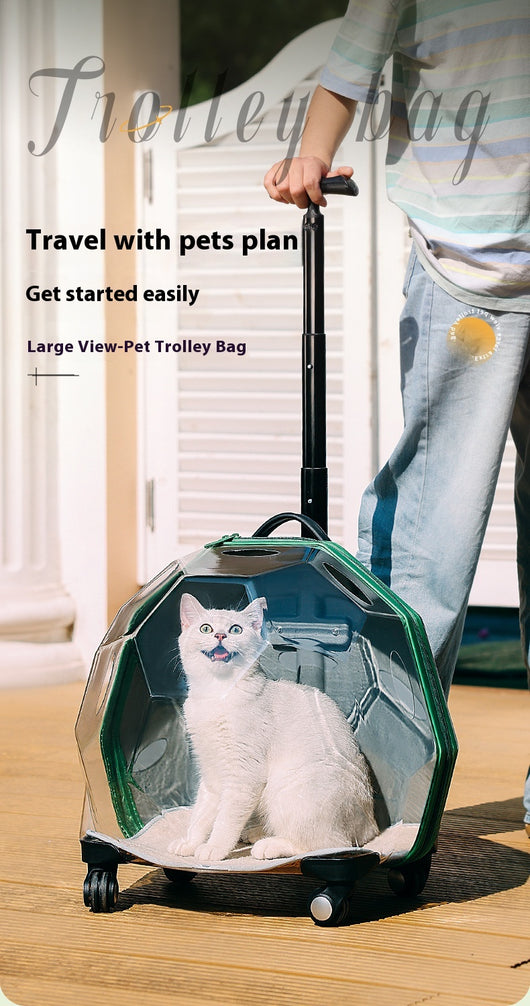 Carrito Transportín para Mascotas - Maleta Cápsula Espacial Transparente Grande - Image 16