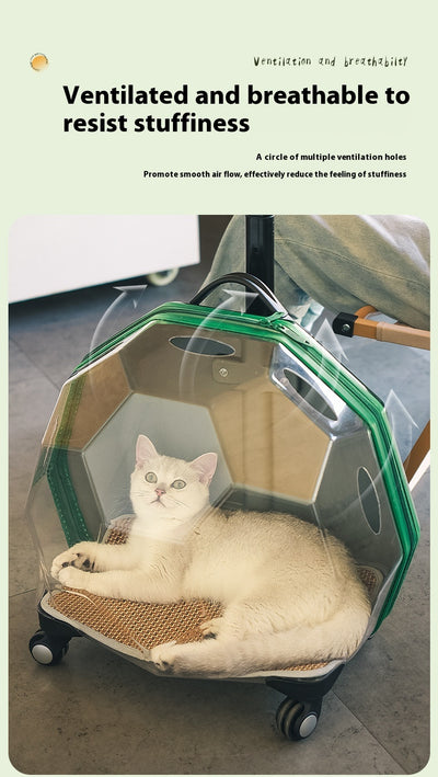 Carrito Transportín para Mascotas - Maleta Cápsula Espacial Transparente Grande - Image 18