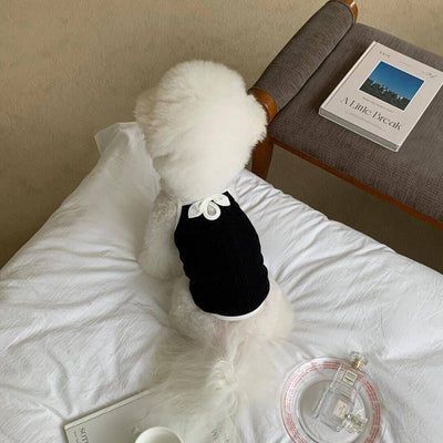 Camiseta de Moda para Perros - Estilo Personalizado - Image 11