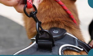 Arnés de Pecho con GPS y Luz LED para Perros - Image 7